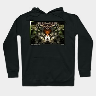 Secrets: Soul of the Earth Hoodie